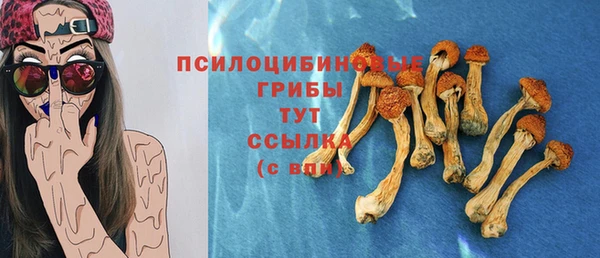 MESCALINE Елизово