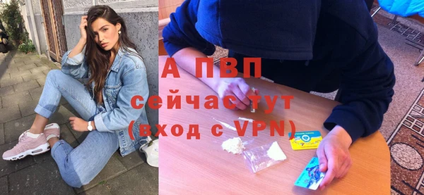 MESCALINE Елизово