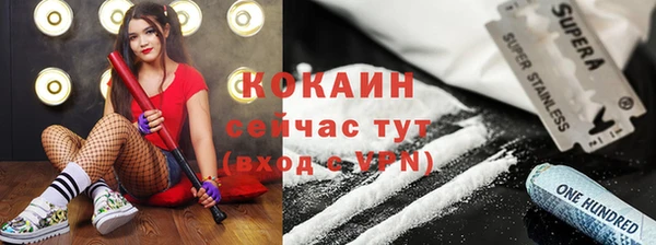 mix Ельня