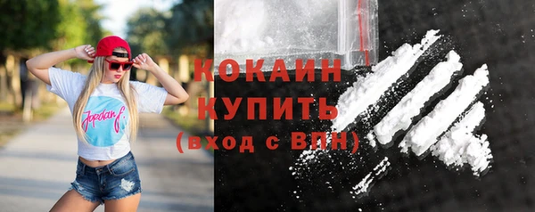 mix Ельня