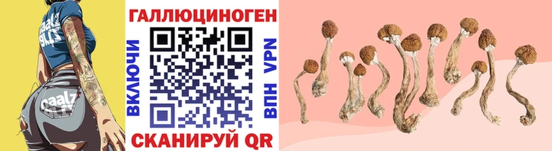 Псилоцибиновые грибы прущие грибы  ссылка на мегу ONION  Краснообск 