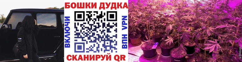Марихуана план  где найти   Краснообск 